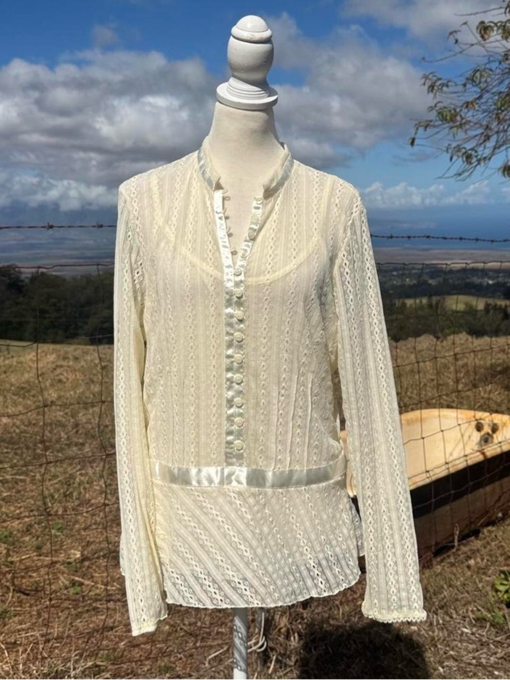 Inc Y2K Sheer lace Ribbon Long sleeve Ivory Blouse top feminine L